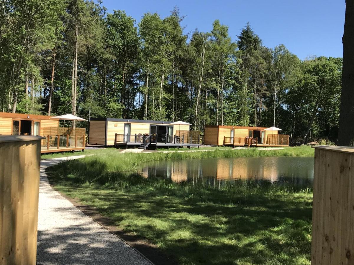 Rowan Boutique Lodge For Couples With A Dog 约克 外观 照片