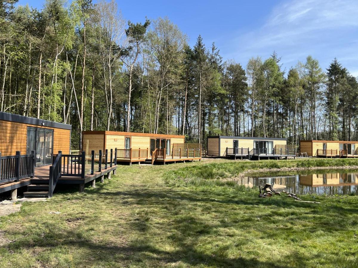Rowan Boutique Lodge For Couples With A Dog 约克 外观 照片