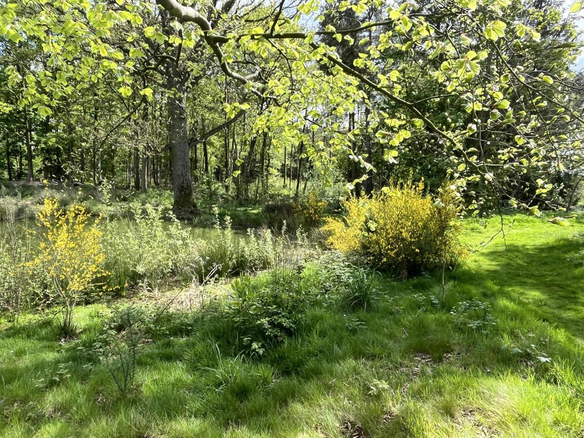 Rowan Boutique Lodge For Couples With A Dog 约克 外观 照片