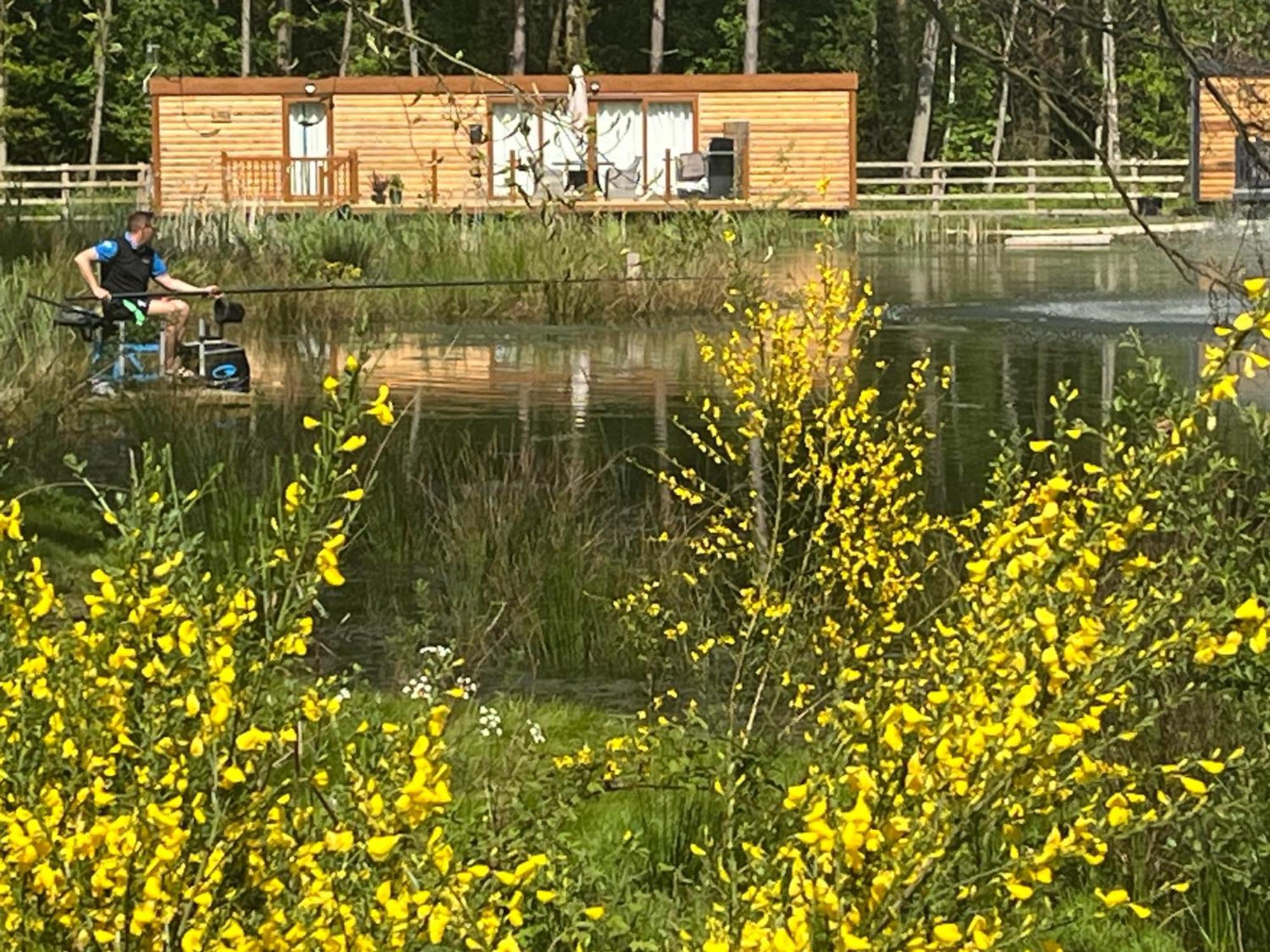 Rowan Boutique Lodge For Couples With A Dog 约克 外观 照片